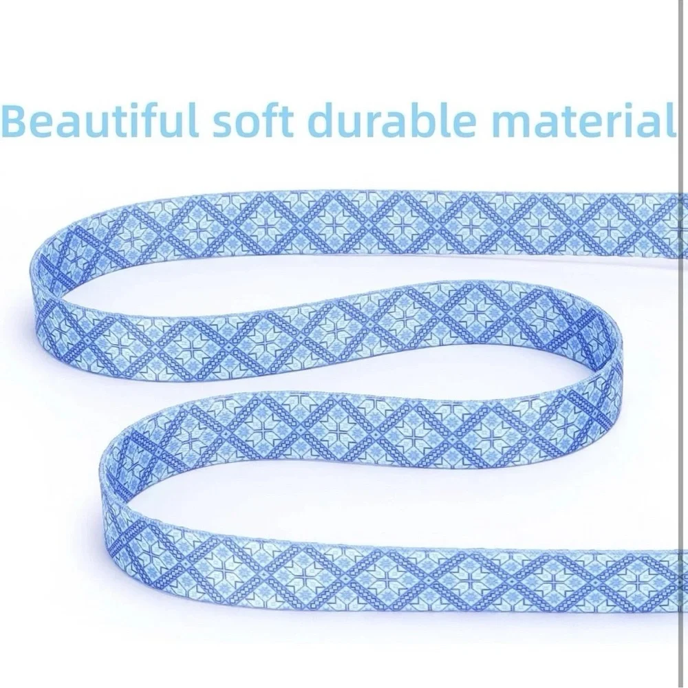 Moonpet Dog Collar with Leash & Airtag Holder Case‎ Set, Size L Blue Color